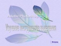 Инструменты выделения в программе Adobe Photoshop