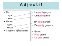 Презентация по грамматике Adjectif