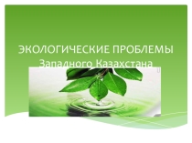 Западный Казахстан отличается неблагоприятной экологической обстановкой, что обусловлено расположением в данном регионе крупных нефтегазовых и промышленных предприятий, существенно загрязняющих окружающую среду.