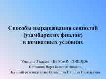 Презентация по окружающему миру на тему  Комнатные растения