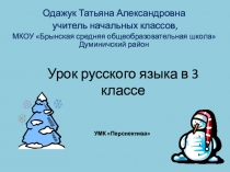 Презентация по русскому языку на тему Мягкий знак на конце имён существительных женского рода после шипящих.