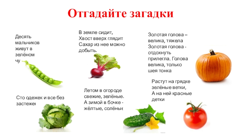 Презентация на тему Отгадайте загадкиДесять мальчиков живут в зелёном чуланчике В Отгадайте загадкиДесять мальчиков живут в зелёном чуланчике В земле сидит, Хвост вверх глядит Сахар из нее можно