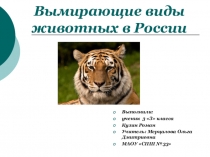 Вымирающие виды животных в России.