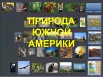 Природные зоны Южной Америки (Презентация для 7 класса)