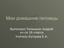 Презентация к уроку окружающего мира