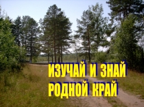 Урок-путешествие на тему Люби свой край