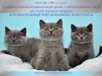 Познавательно-исследовательский проект УВЛЕКАТЕЛЬНЫЙ МИР ДОМАШНИХ ЖИВОТНЫХ