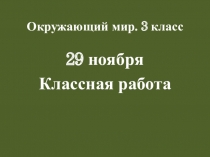 Презентация по окружающему миру на тему В царстве грибов (3 класс)