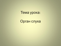 Презентация по биологии на тему Орган слуха