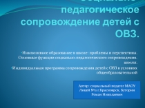 Социально - педагогическое сопровождение детей с ОВЗ.