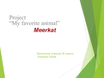 Презентация по английскому языку на тему Pets and other animals
