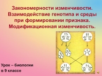 Закономерности изменчивости. Взаимодействие генотипа и среды при формировании признака. Модификационная изменчивость.