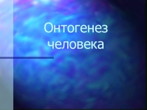 Презентация - Онтогенез человека
