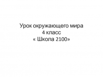 Презентация  первобытный мир первые шаги человечества