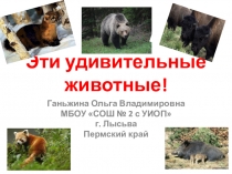 Интеллектуальная игра Эти удивительные животные! для 1 класса.