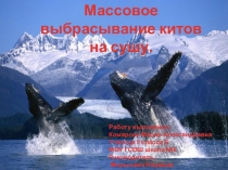 Презентация по экологии Массовое выбрасывание китов на сушу…, подготовила ученица 9 класса Комарова Мария