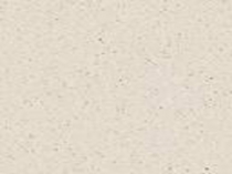 Презентация по химии на тему Нуклеиновые кислоты