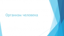 Презентация по физической культуре на тему Организм человека