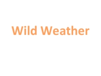Презентация по английскому языку на тему Wild weather