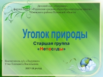 Презентация Уголок природы в старшей группе