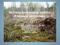 Презентация по окружающему миру на тему Познай свой край