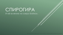 Презентация по биологии Спирогира 7 класс