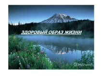 Здоровый образ жизни