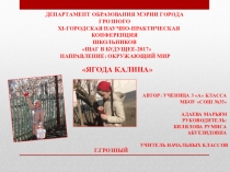 Ягода калина