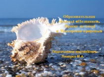 Образовательная область: Познание.Проект на тему:  Мастерская природы