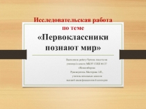 Исследовательская работа по теме Первоклассники познают мир