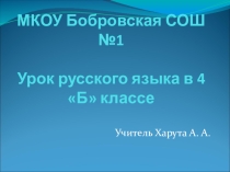 Презентация по русскому языку Имя прилагательное