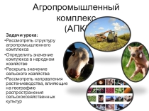 Презентация Арго-промышленный комплекс РК