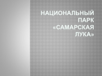 Презентация по окружающему миру на тему Природа родного края. Природный национальный парк Самарская Лука