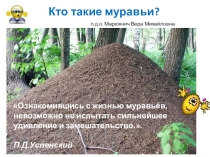 Кто такие муравьи 3 класс (экология)