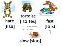 Презентация к уроку The Tortoise and the Hare.