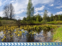 Презентация к занятию Жизнь людей на Севере