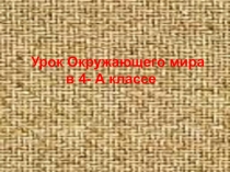 Презентация по Окружающему миру на тему Пётр Великий (4 класс)