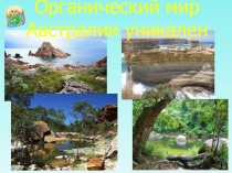 Презентация Природные зоны Австралии (7 класс).