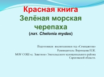 Презентация Зеленая черепаха - животное из Красной книги начальная школа