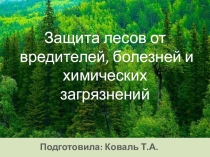Защита лесов от вредителей, болезней и химических загрязнений.