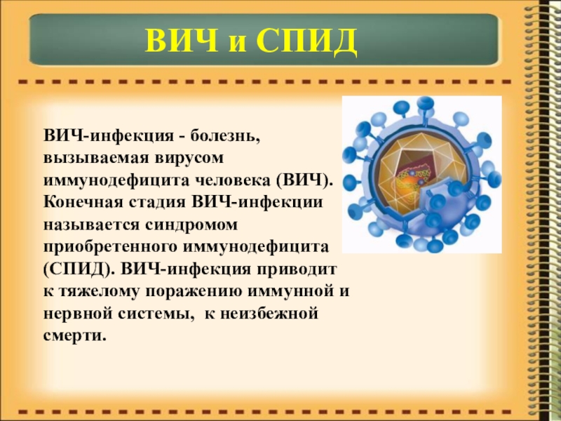 Презентация по биологии на тему Иммунитет ВИЧ и СПИДВИЧ-инфекция - болезнь, вызываемая вирусом иммунодефицита человека (ВИЧ). Конечная ВИЧ и СПИДВИЧ-инфекция - болезнь, вызываемая вирусом иммунодефицита человека (ВИЧ). Конечная стадия ВИЧ-инфекции называется синдромом приобретенного иммунодефицита