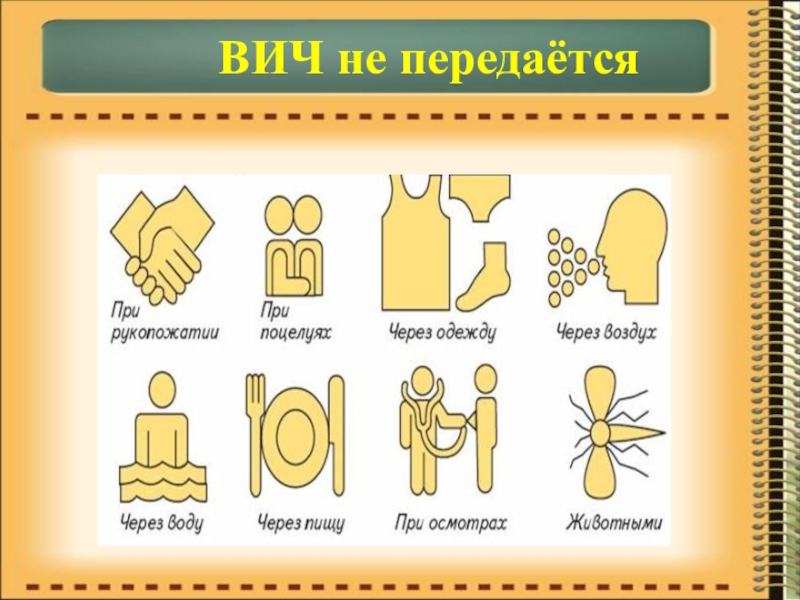 Презентация по биологии на тему Иммунитет ВИЧ не передаётся ВИЧ не передаётся