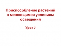Презентация по экологии для 6 класса Приспособления растений к меняющимся условиям освещения