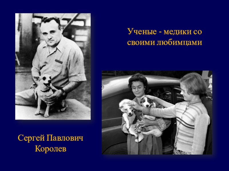 Презентация классного часа Гагаринский урок Сергей Павлович КоролевУченые - медики со своими любимцами Сергей Павлович КоролевУченые - медики со своими любимцами