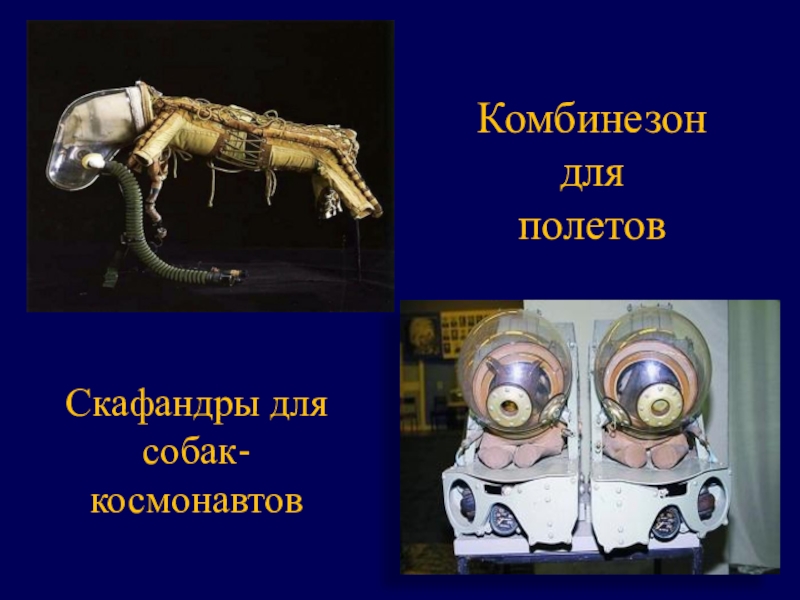 Презентация классного часа Гагаринский урок Комбинезон для полетовСкафандры для собак-космонавтов Комбинезон для полетовСкафандры для собак-космонавтов
