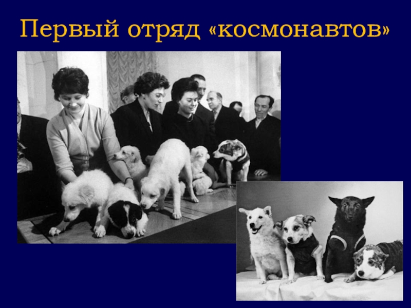 Презентация классного часа Гагаринский урок Первый отряд «космонавтов» Первый отряд «космонавтов»