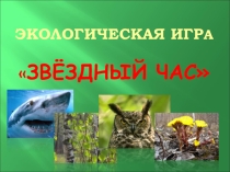 Презентация Экологическая игра Звёздный час