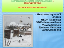 Презентация Покормите птиц зимой