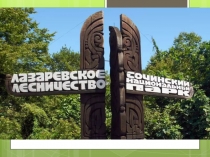 Презентация по Окружающему миру