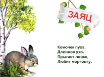 Животные нашего леса2